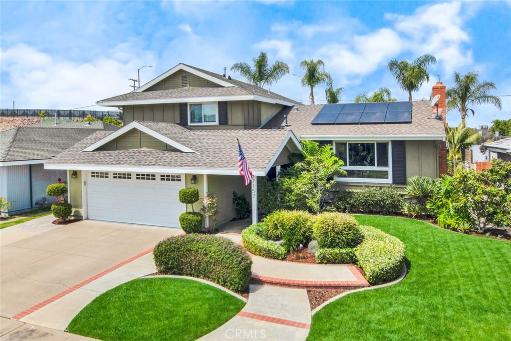 17157 Buttonwood