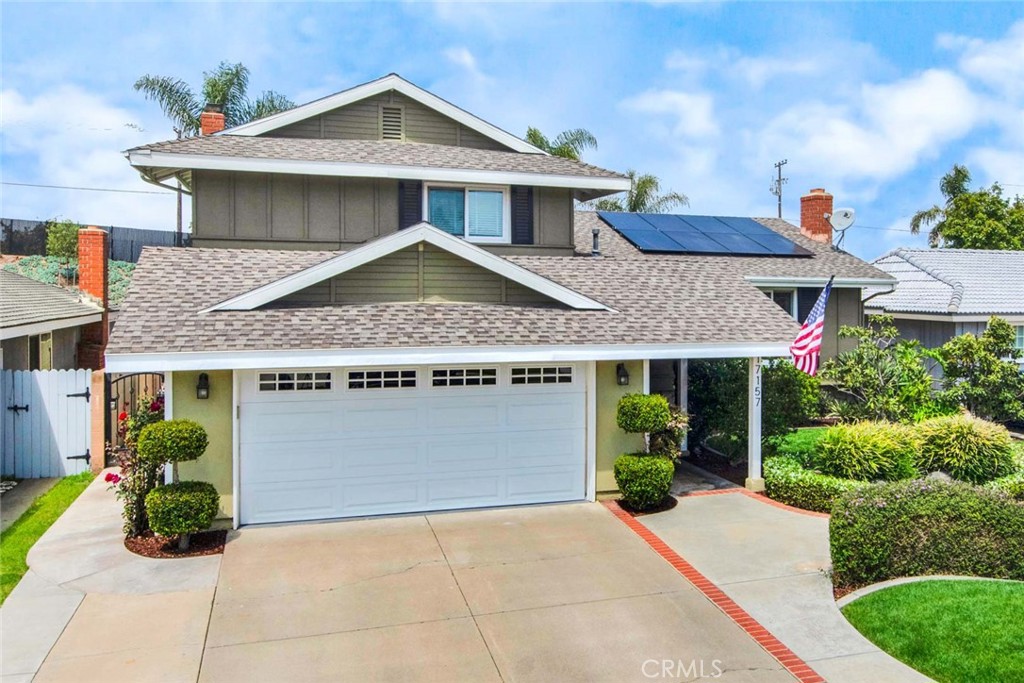 17157 Buttonwood
