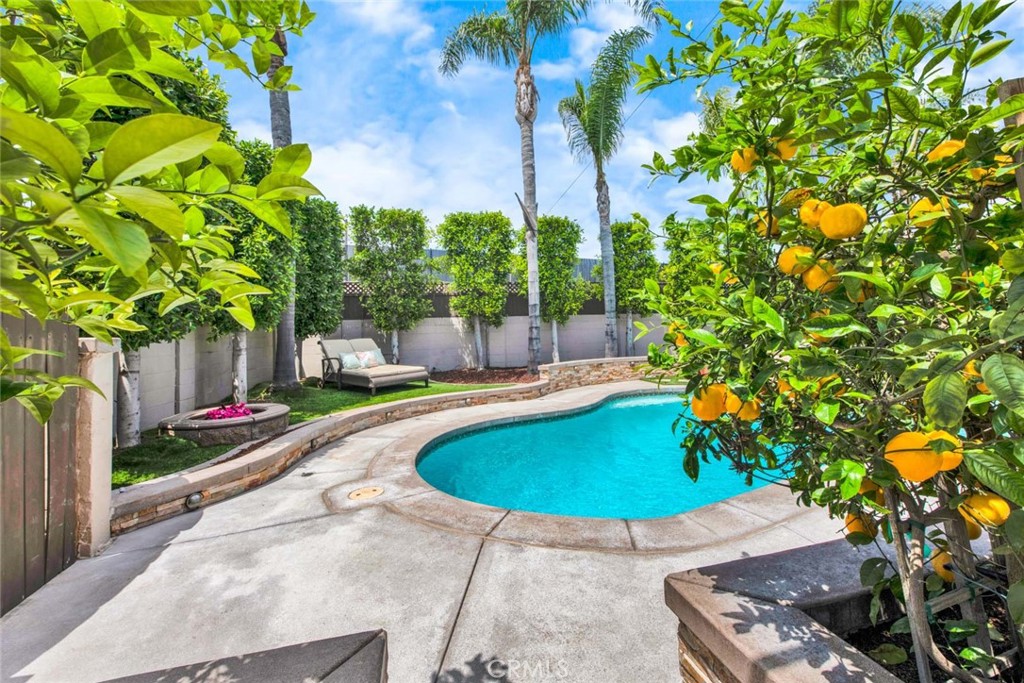 17157 Buttonwood
