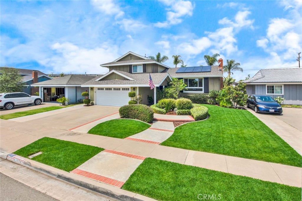 17157 Buttonwood