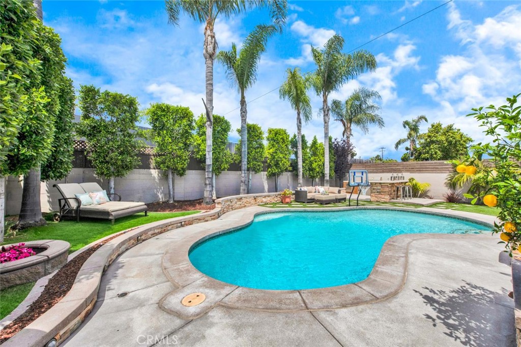 17157 Buttonwood