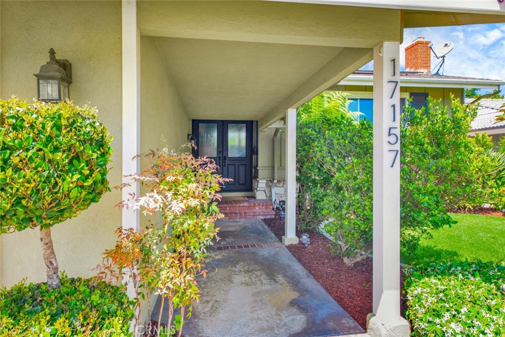 17157 Buttonwood