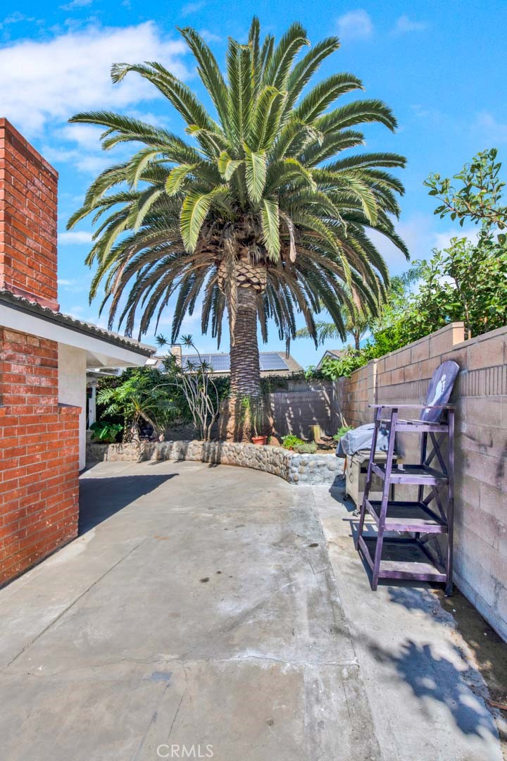 17830 Cashew Street