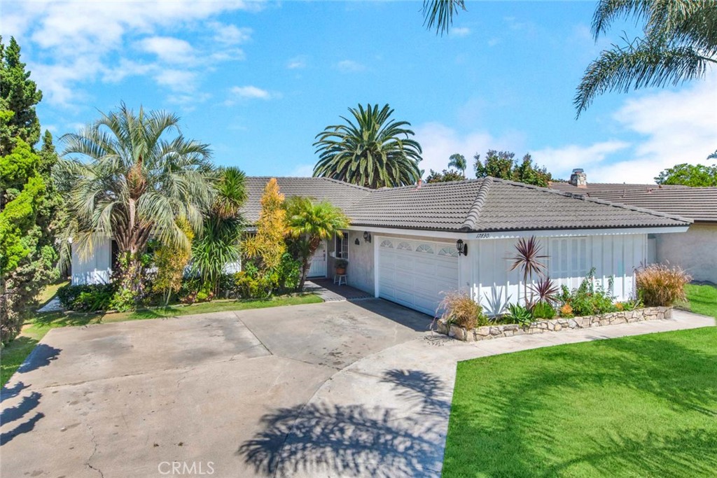 17830 Cashew Street