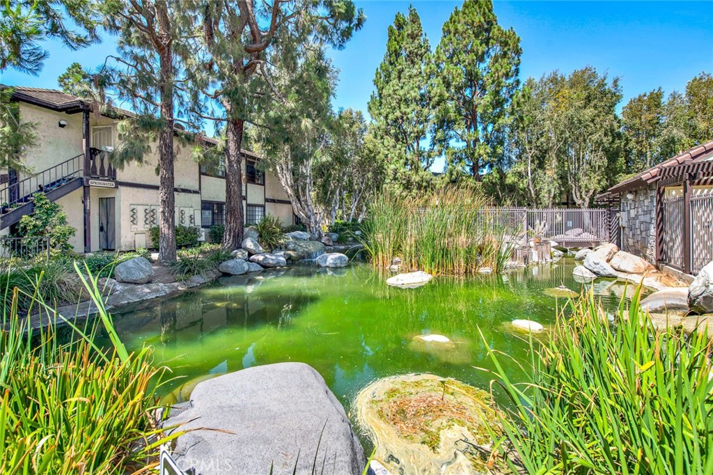 12409 Rock Springs Court