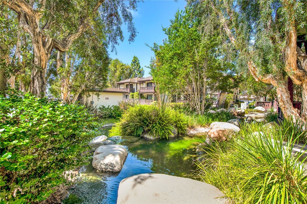 12409 Rock Springs Court