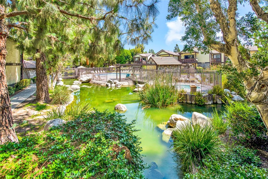 12409 Rock Springs Court