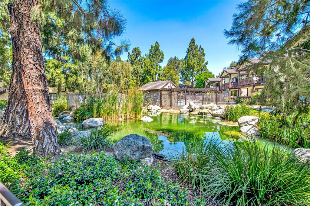 12409 Rock Springs Court