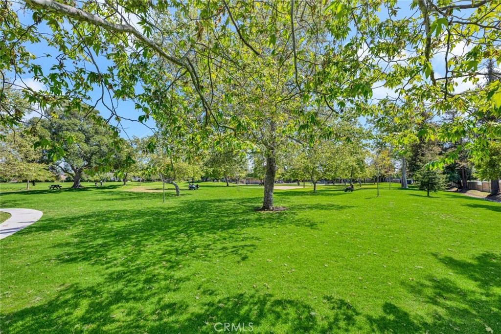 1033 Damascus Circle