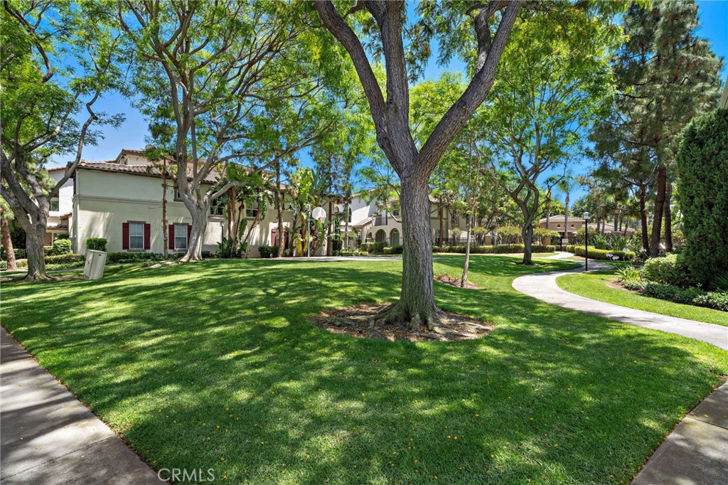 811 Larkridge
