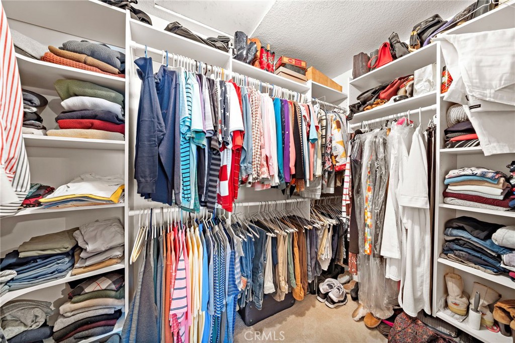 11788 Purslane Circle