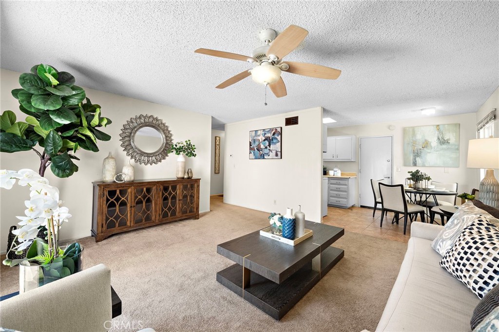9051 Carnation Drive