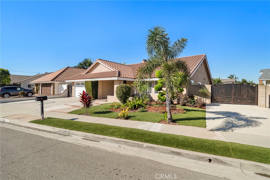17925 Mount Coulter