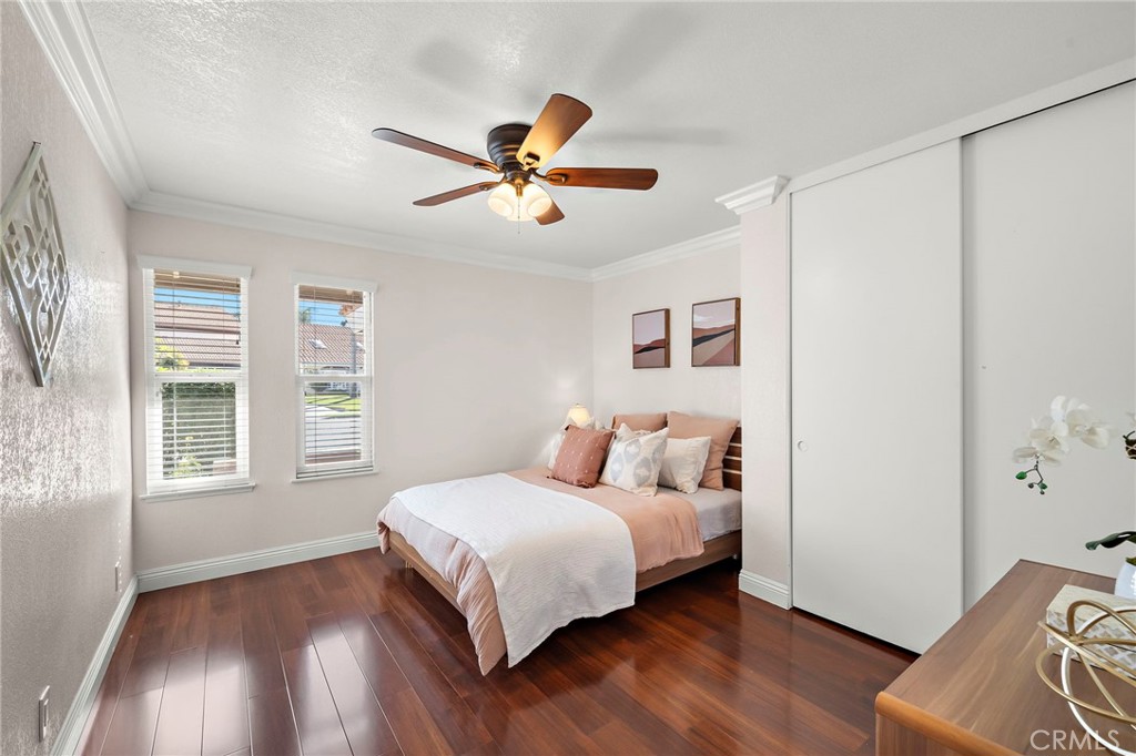 17925 Mount Coulter