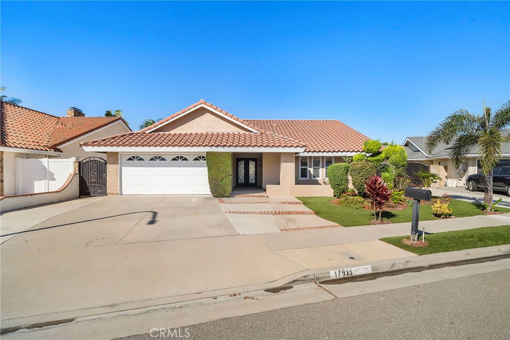 17925 Mount Coulter