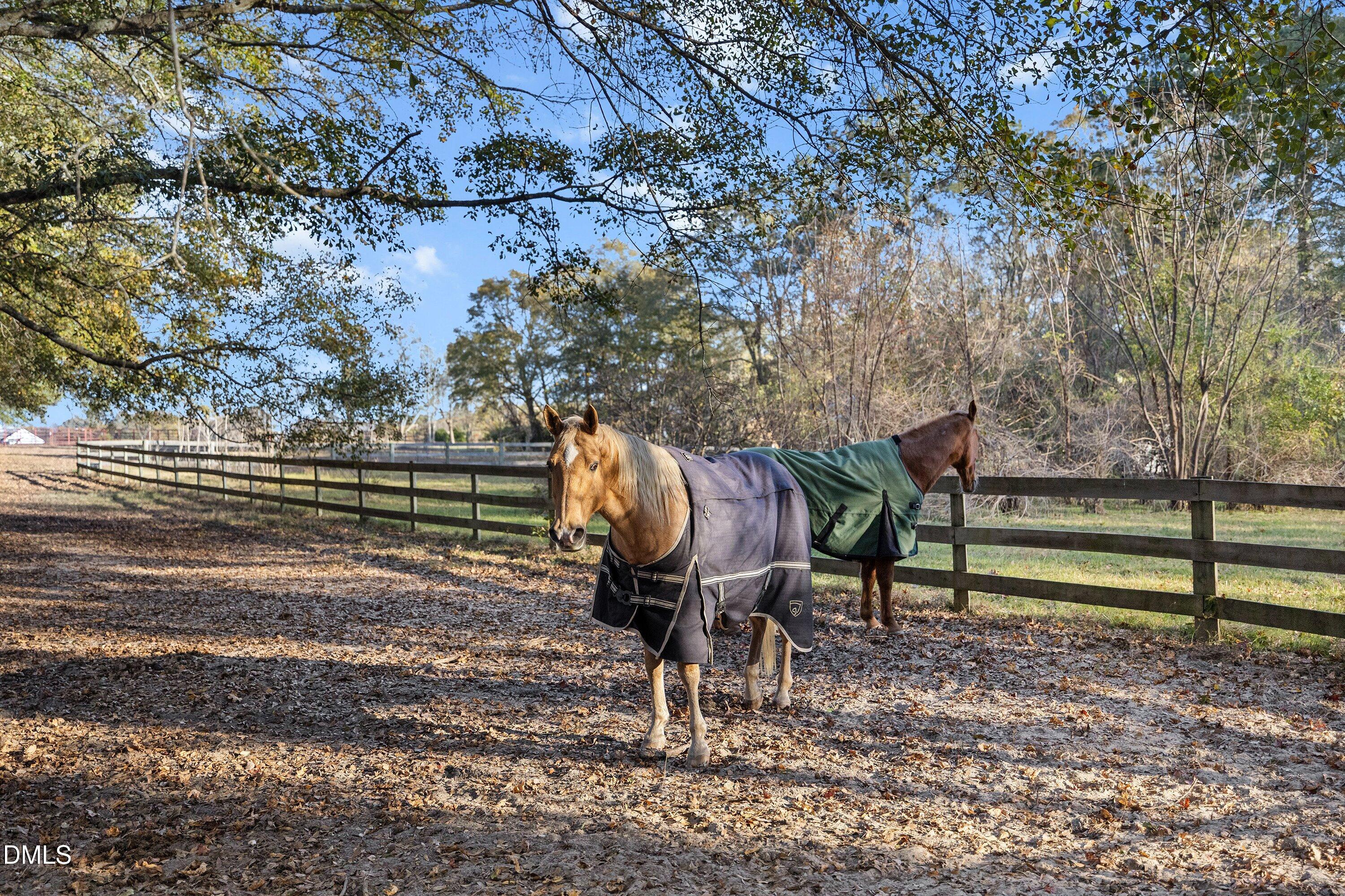 6220 Standing Oak Lane