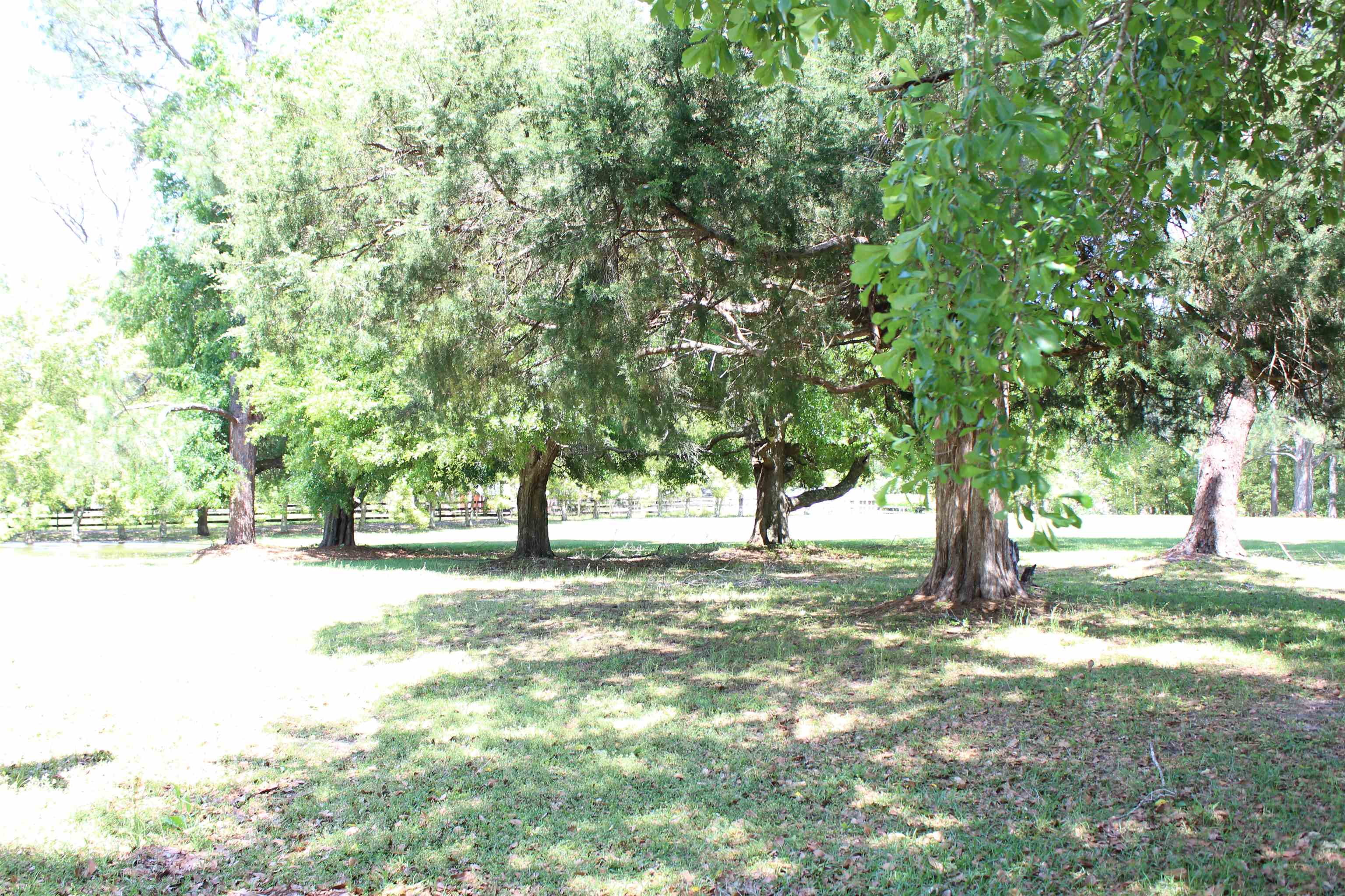 0 Bradfordville Road