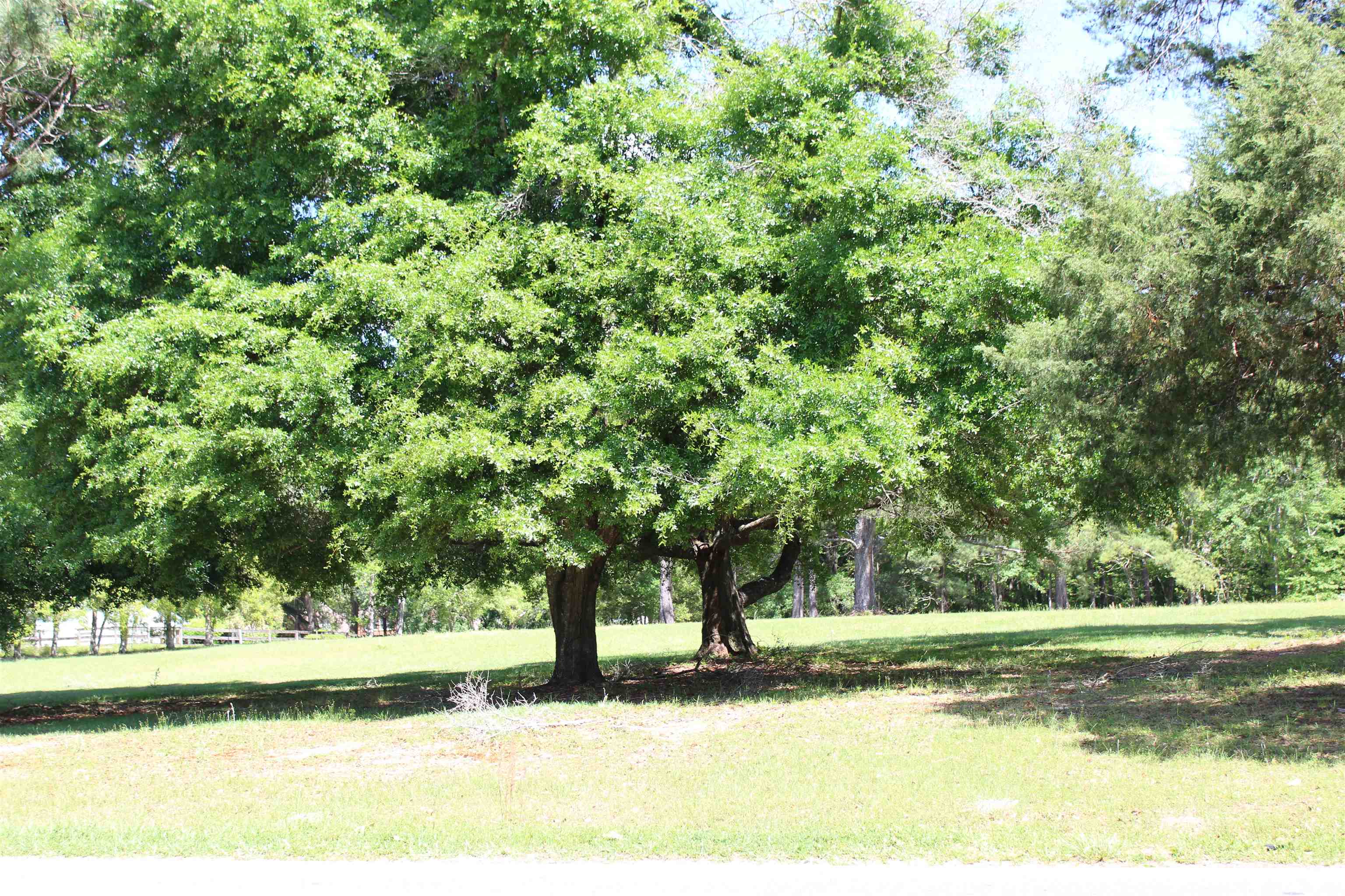 0 Bradfordville Road