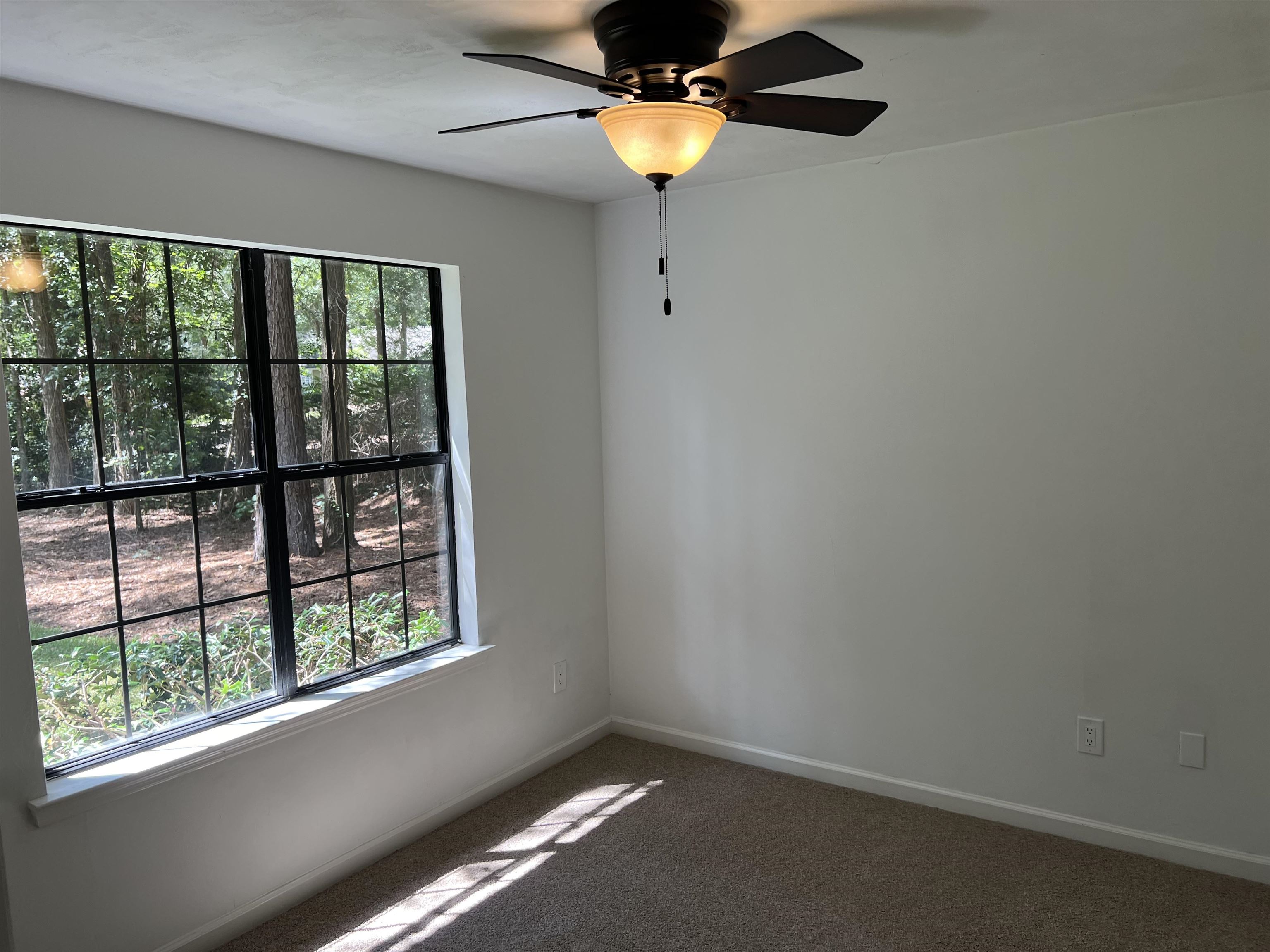 8789 Minnow Creek Drive