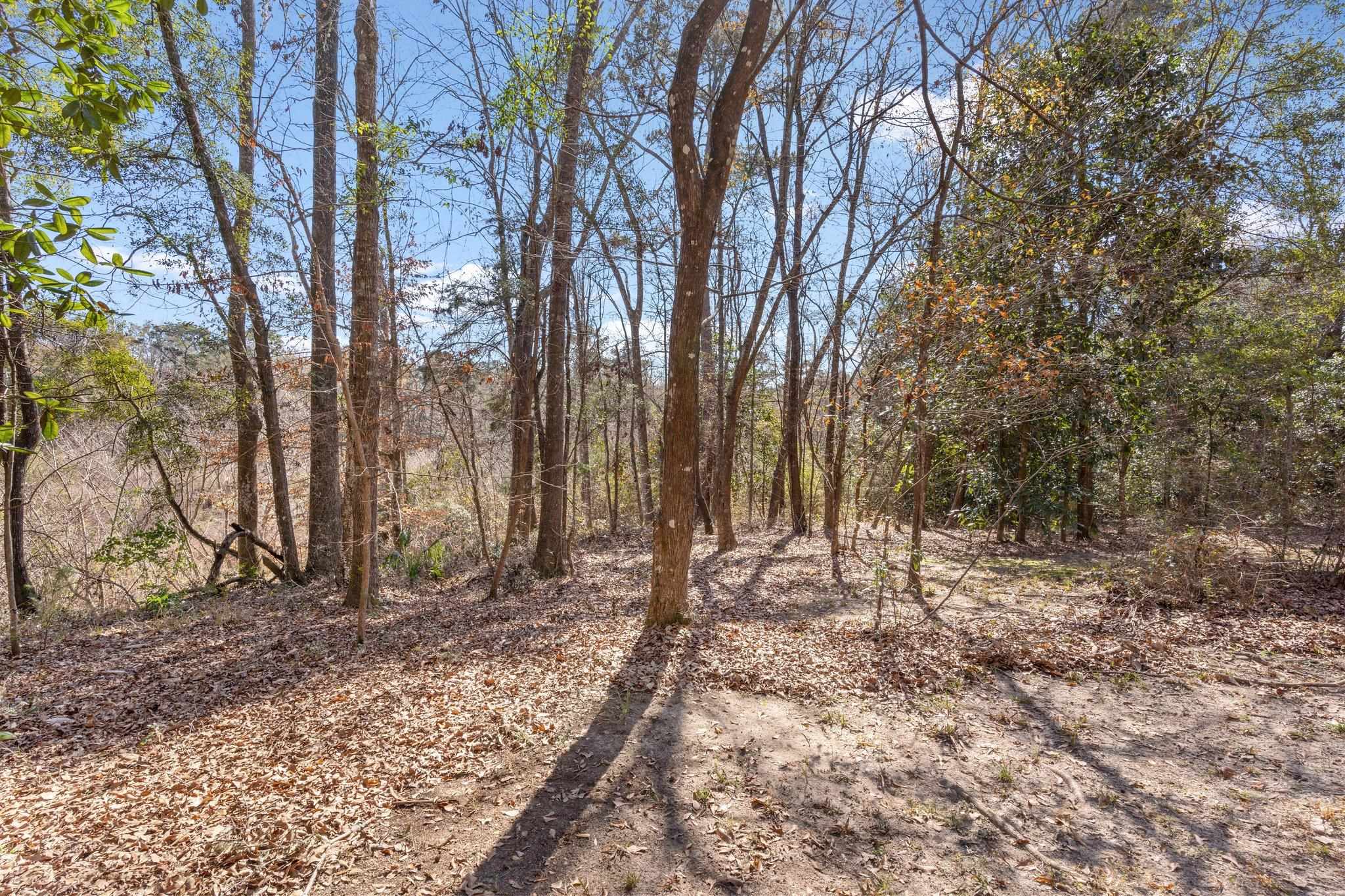 542 Spring Meadows Road