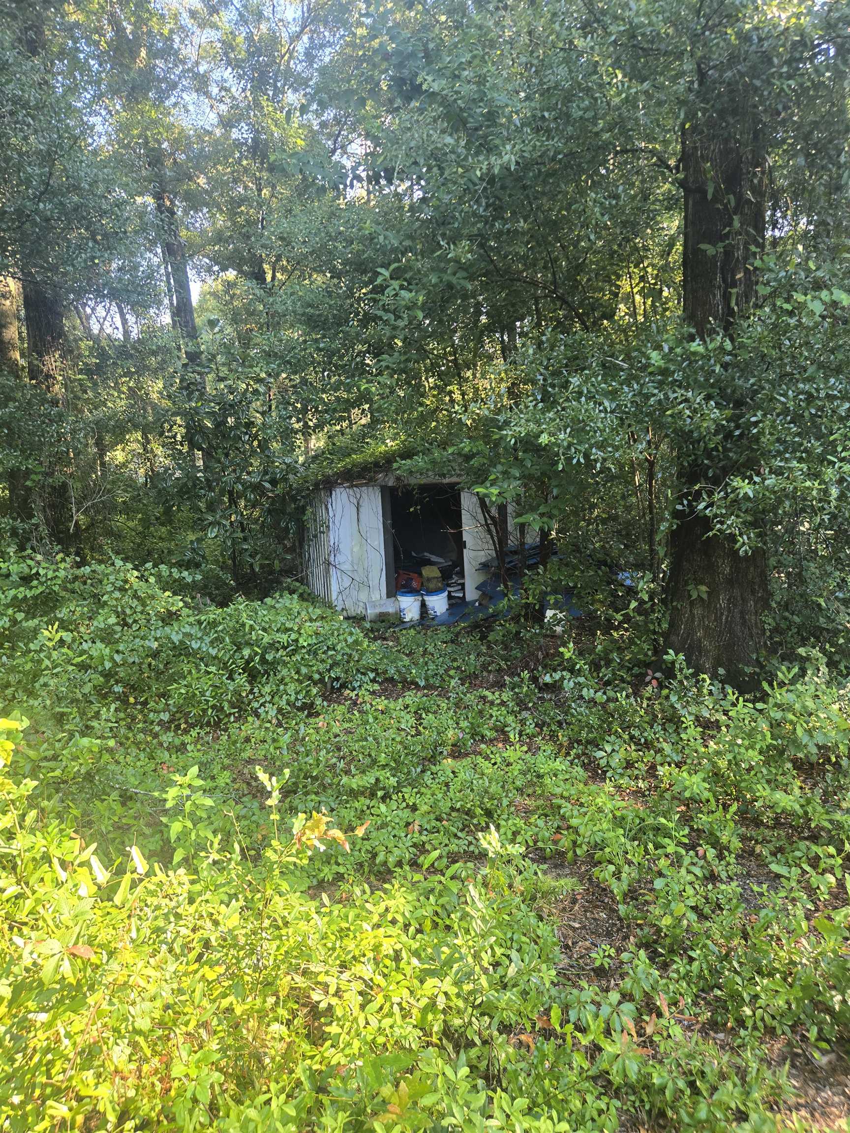 1282 Balkin Road