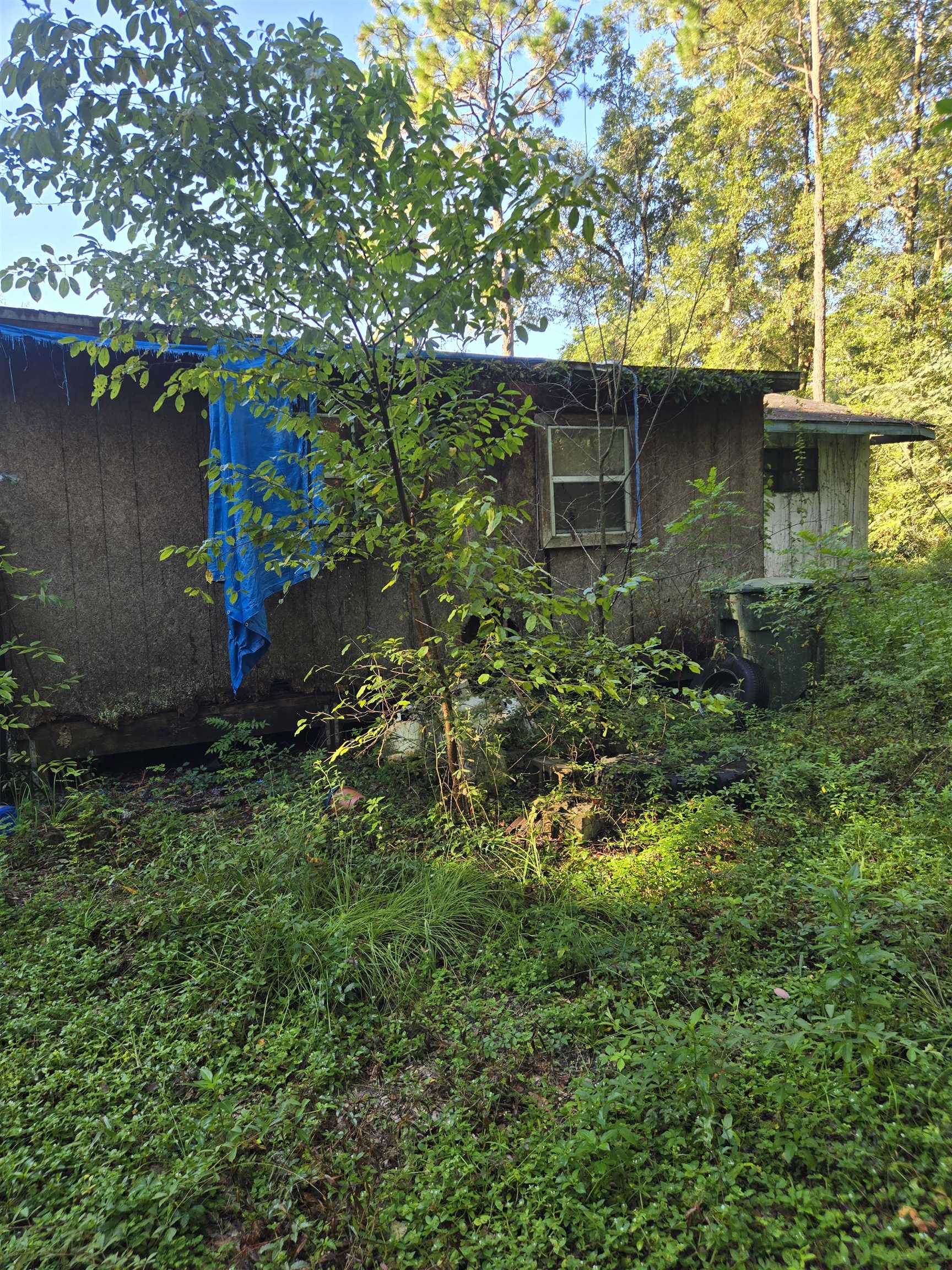 1282 Balkin Road