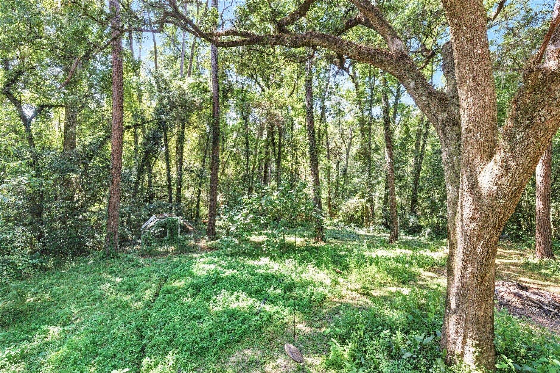 2106 Great Oak Drive