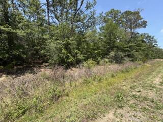 0 N Highway 87