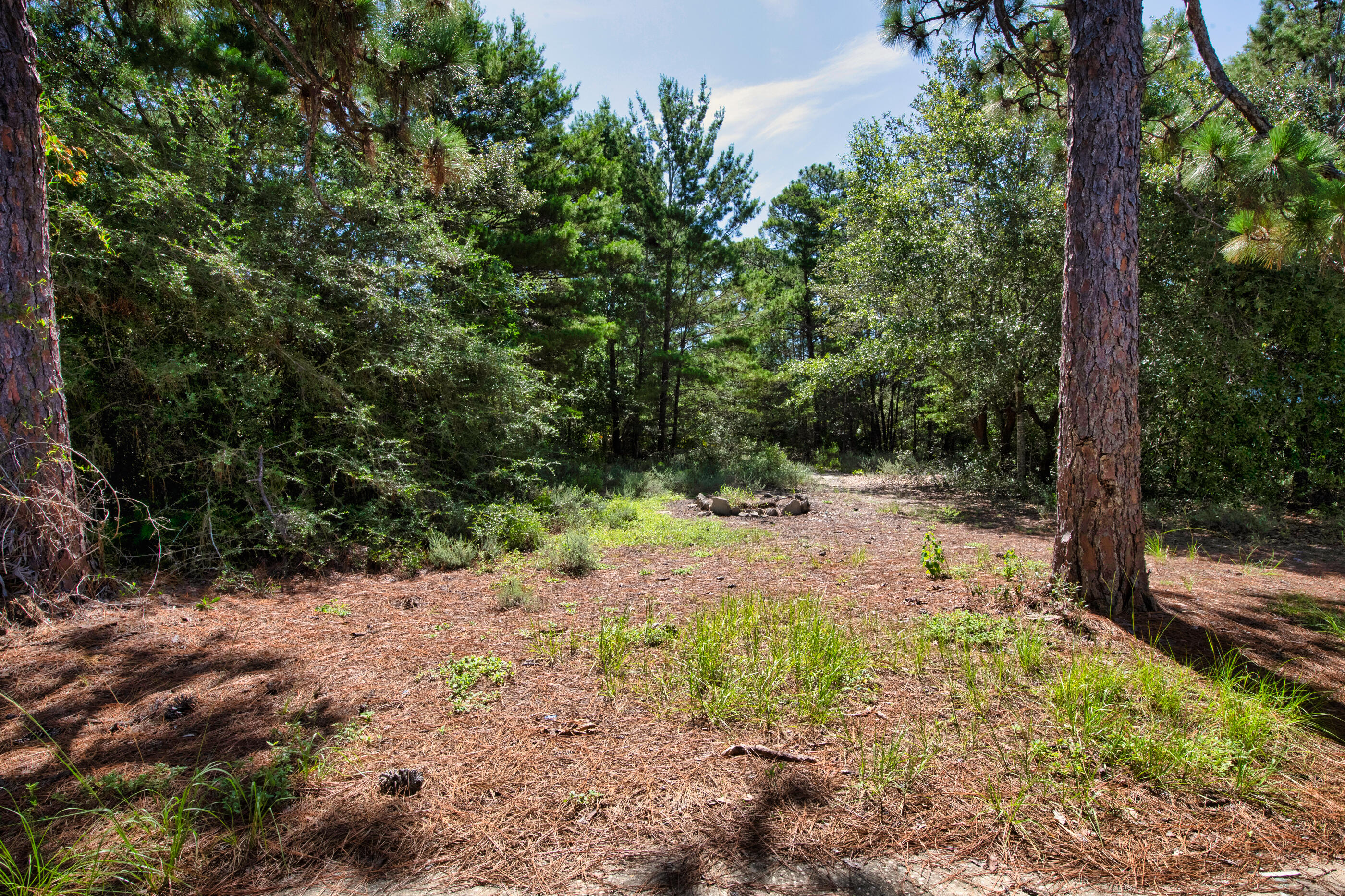 2190 River Birch Road