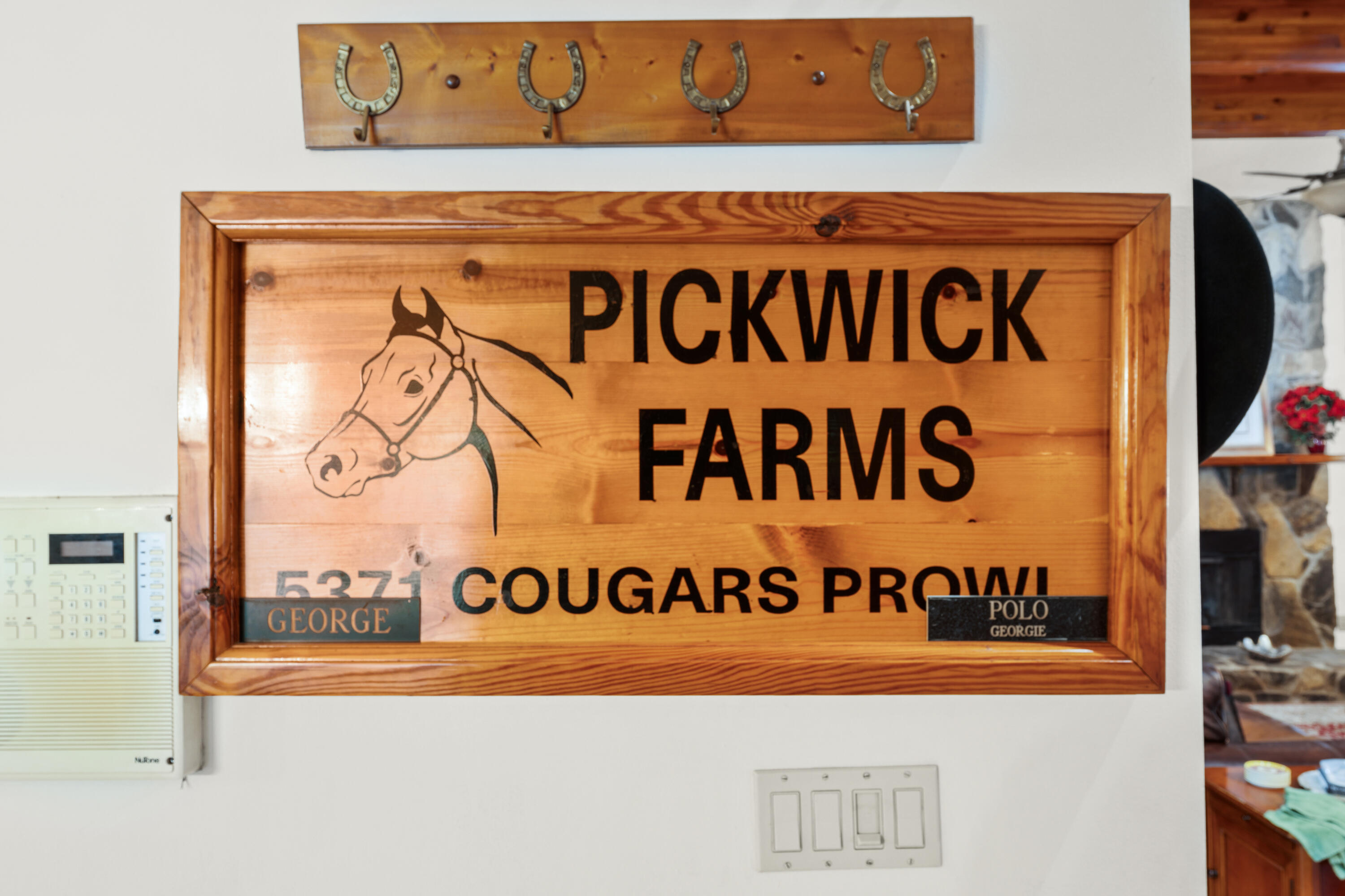 5371 Cougars Prowl
