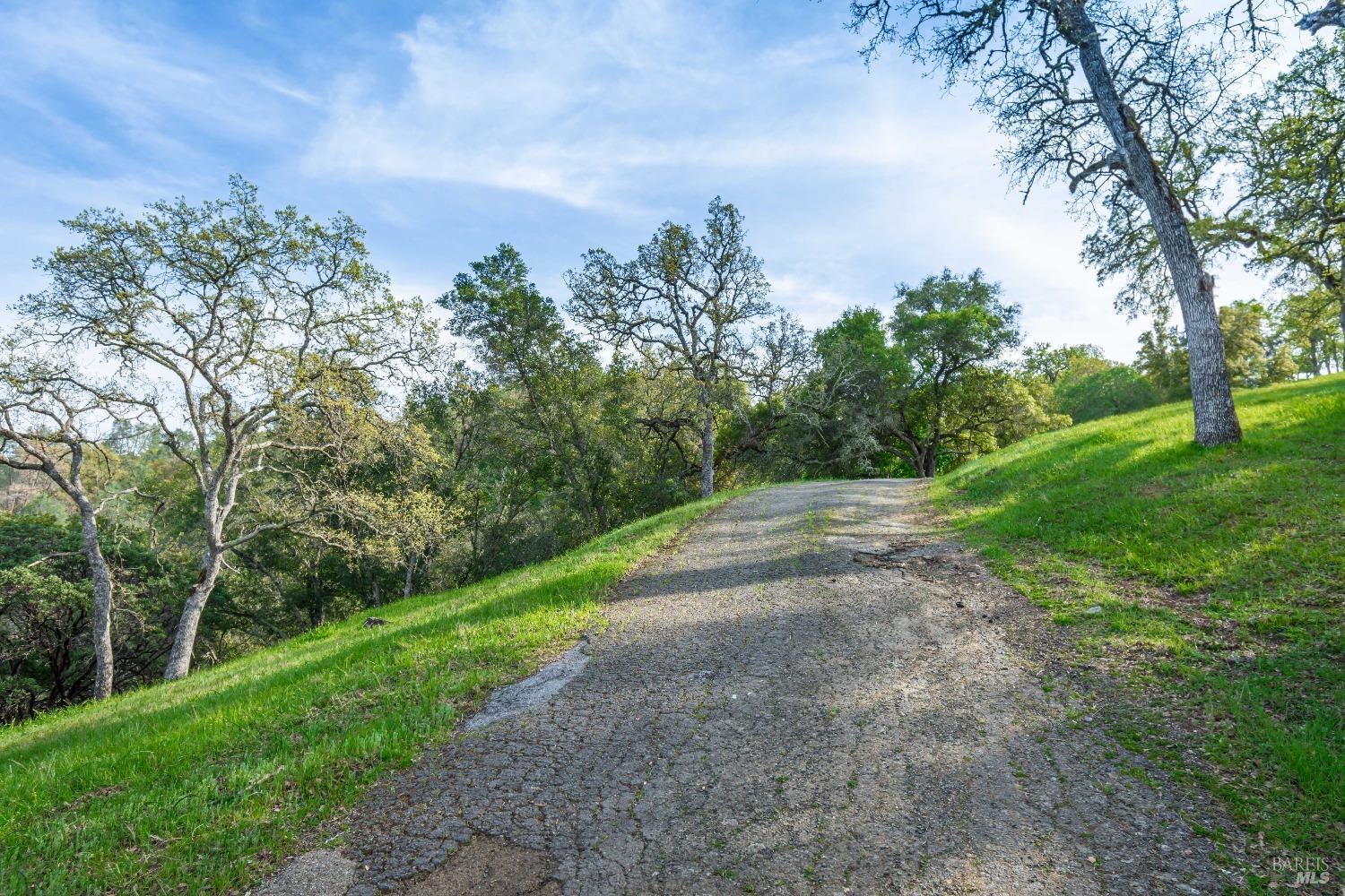 1081 Steele Canyon Rd