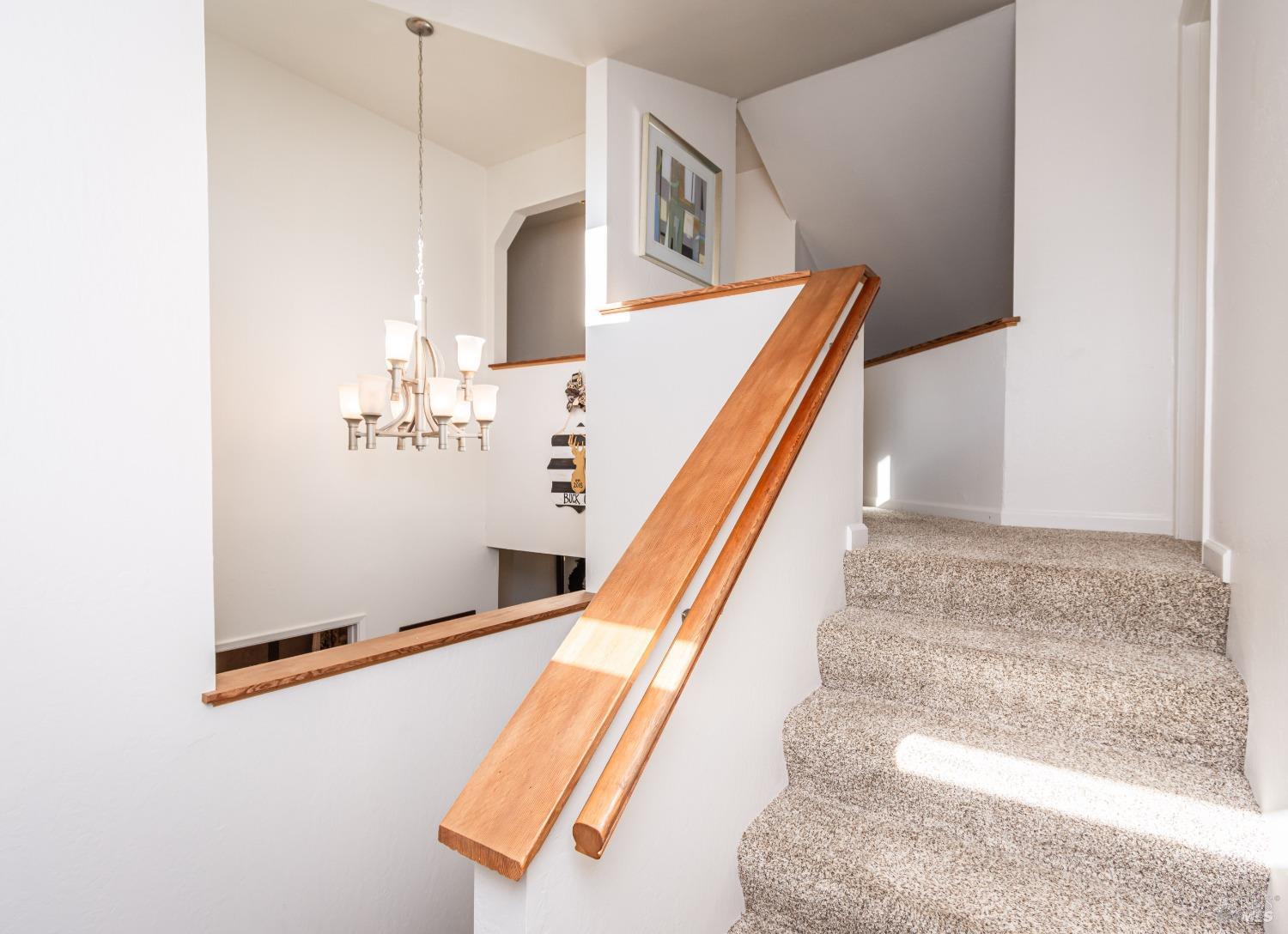 1081 Steele Canyon Rd