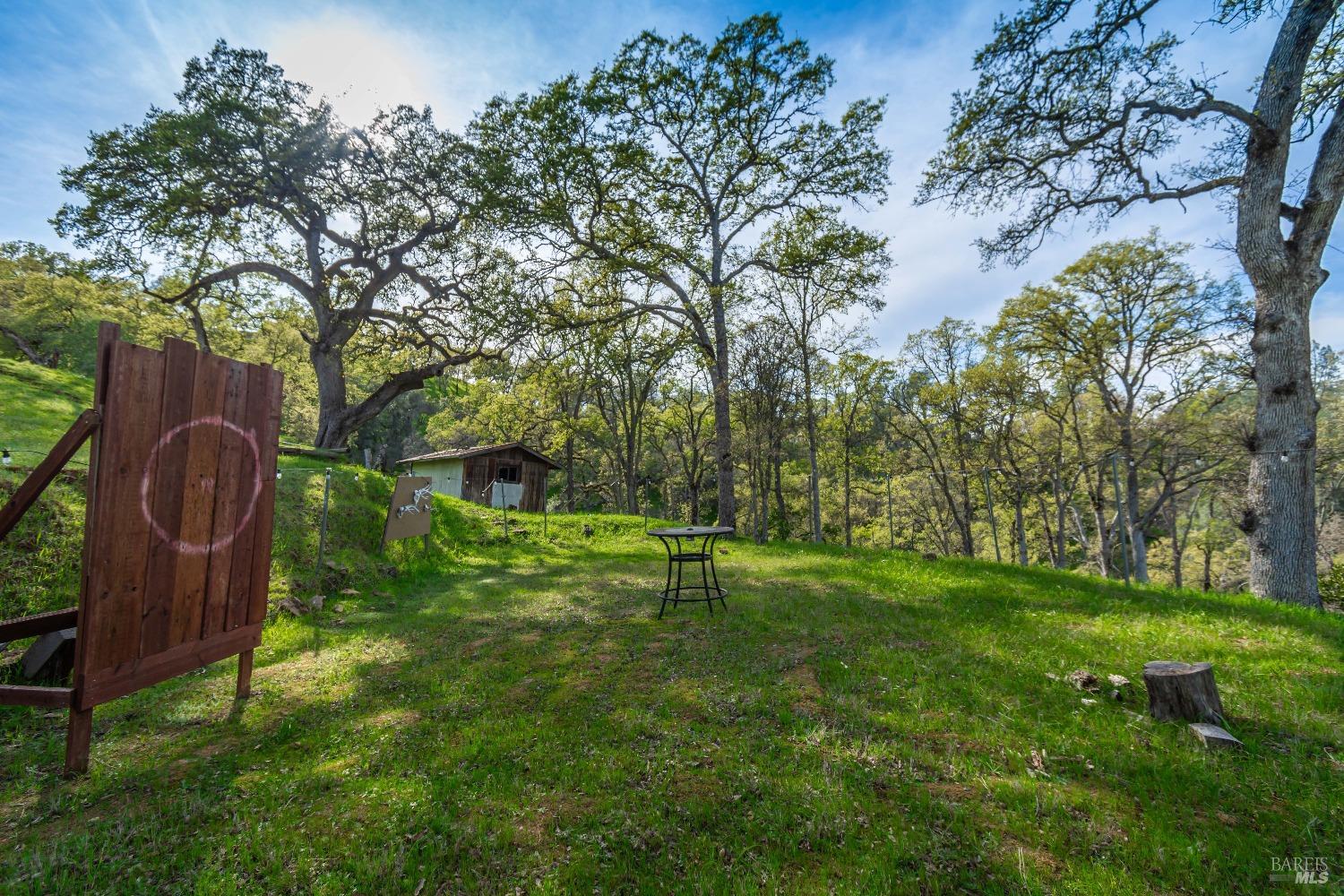 1081 Steele Canyon Rd