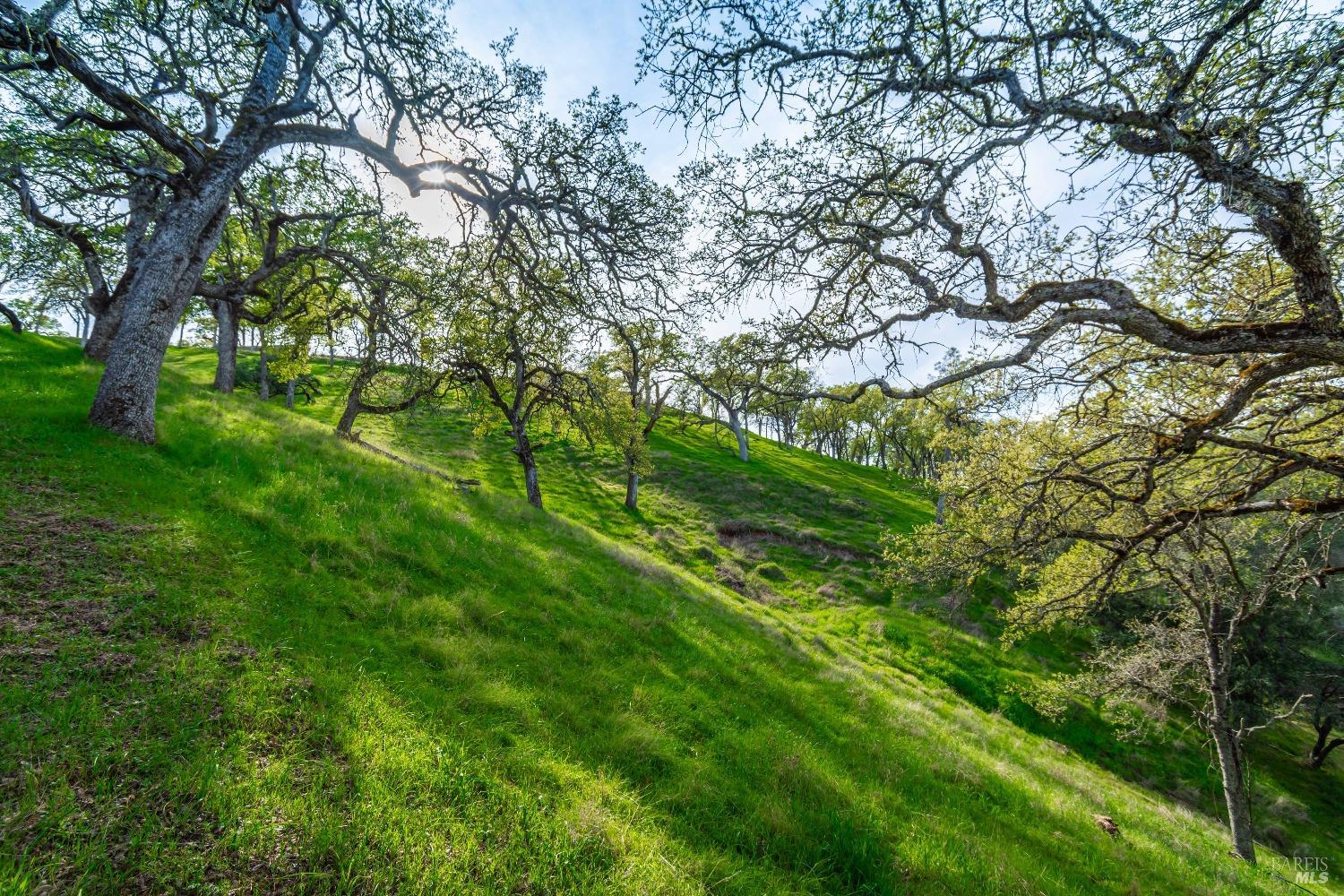 1081 Steele Canyon Rd