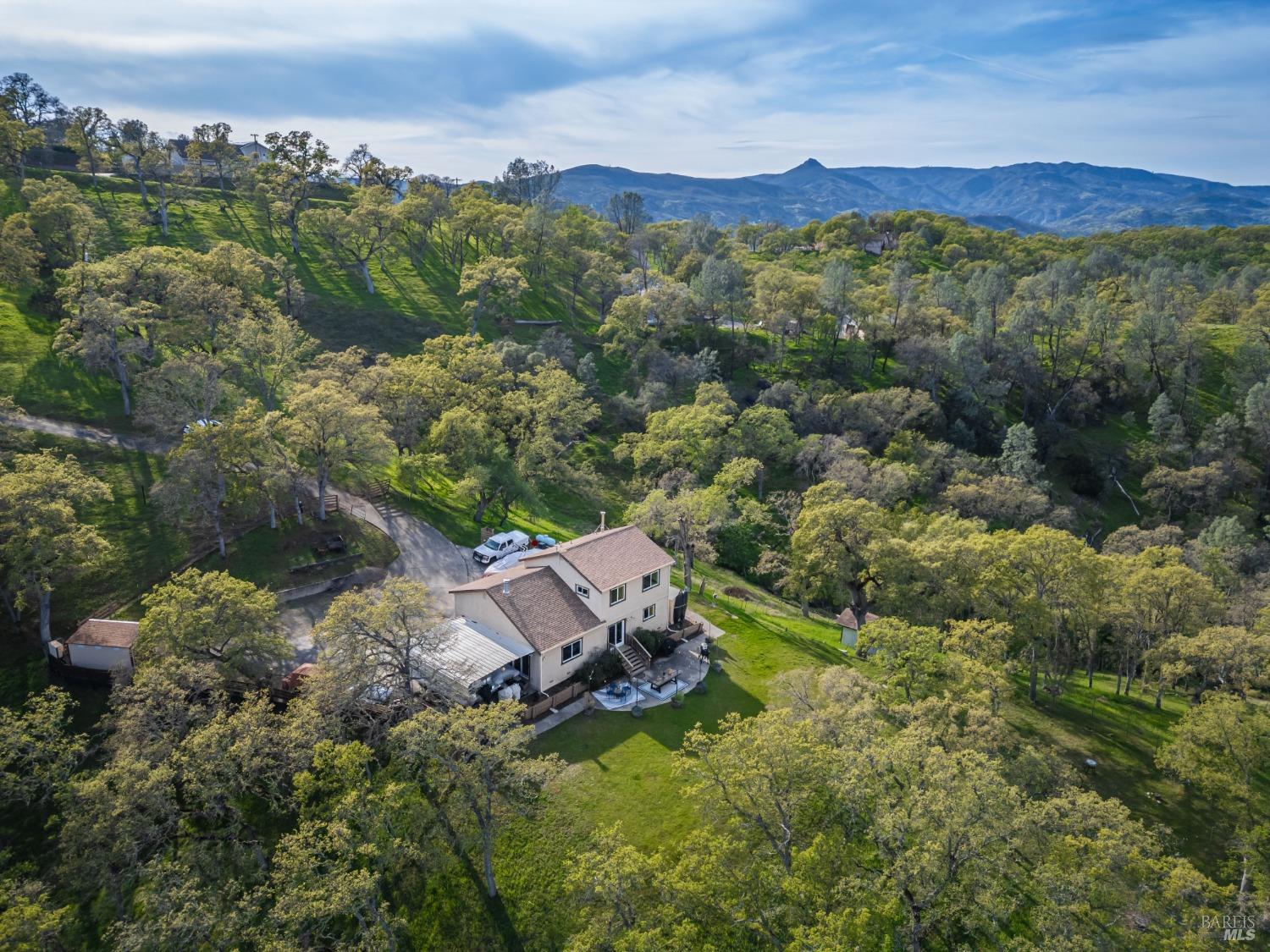1081 Steele Canyon Rd