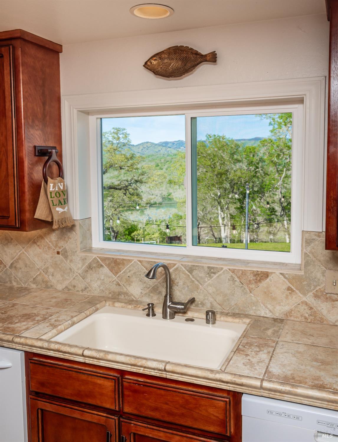 1081 Steele Canyon Rd