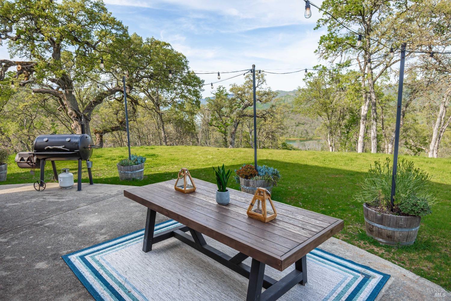 1081 Steele Canyon Rd