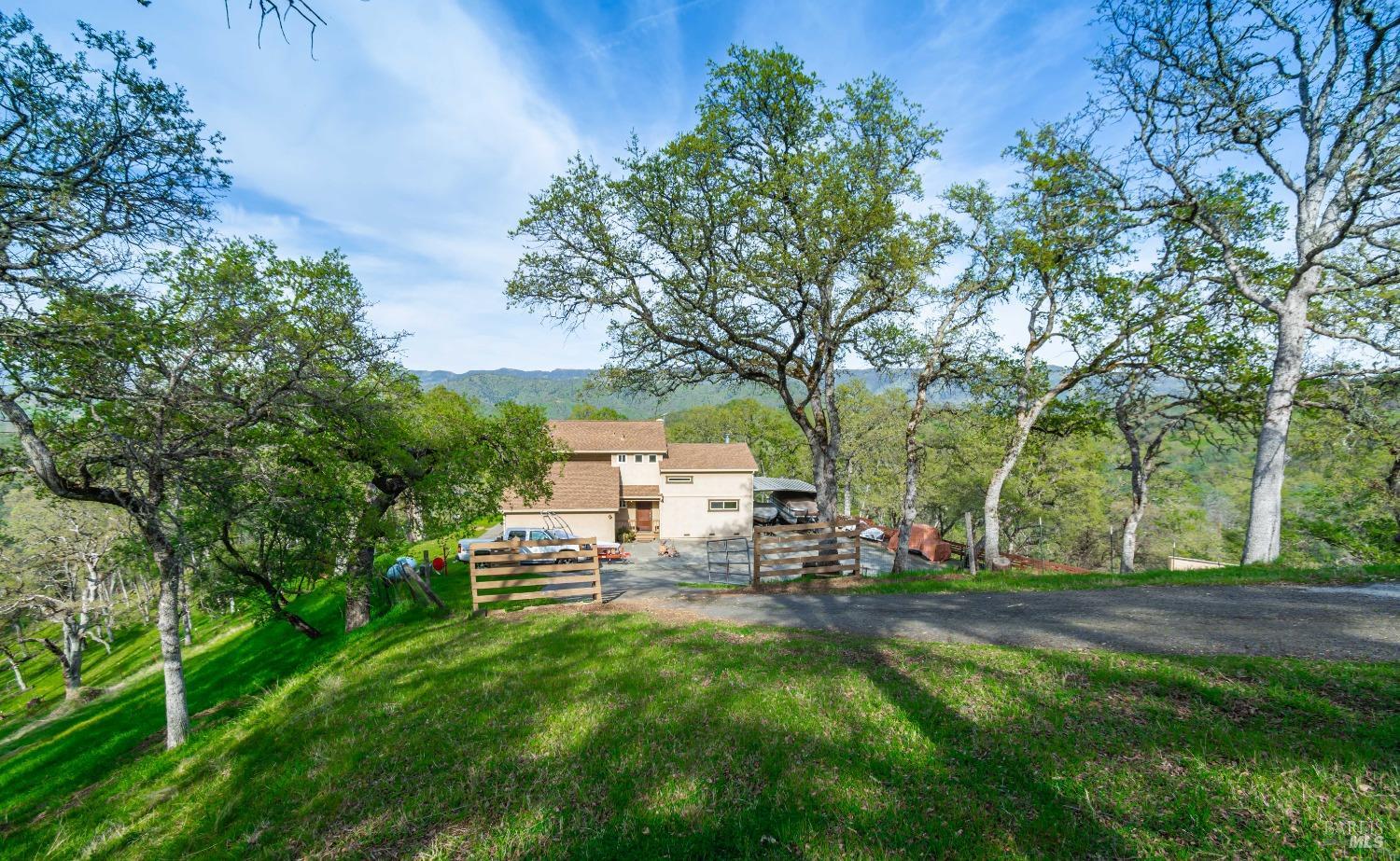1081 Steele Canyon Rd