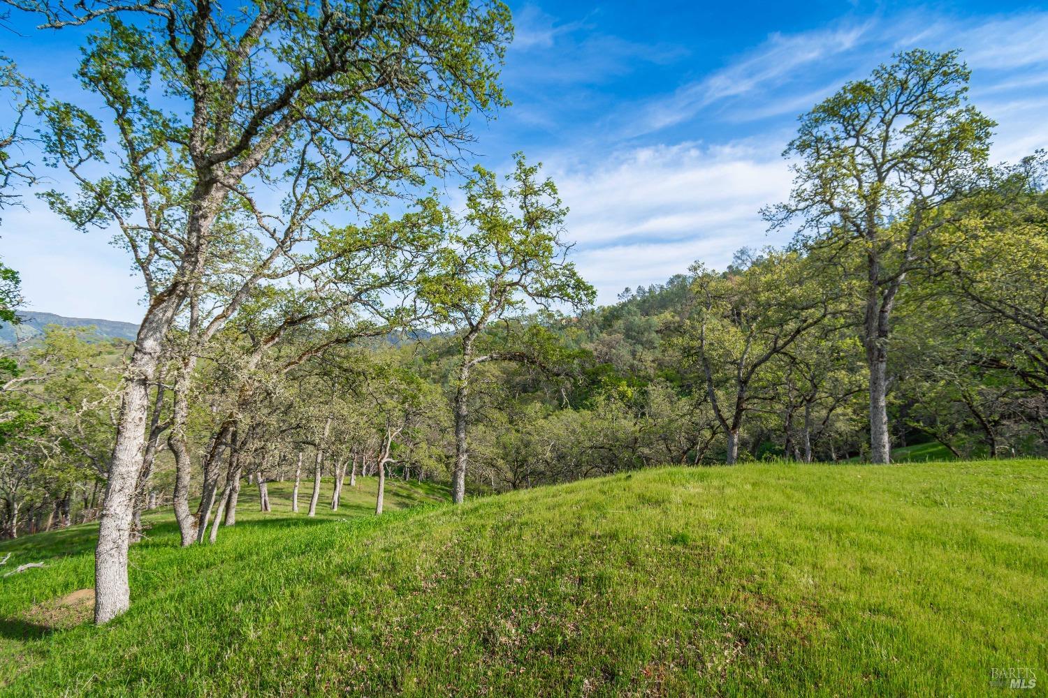 1081 Steele Canyon Rd