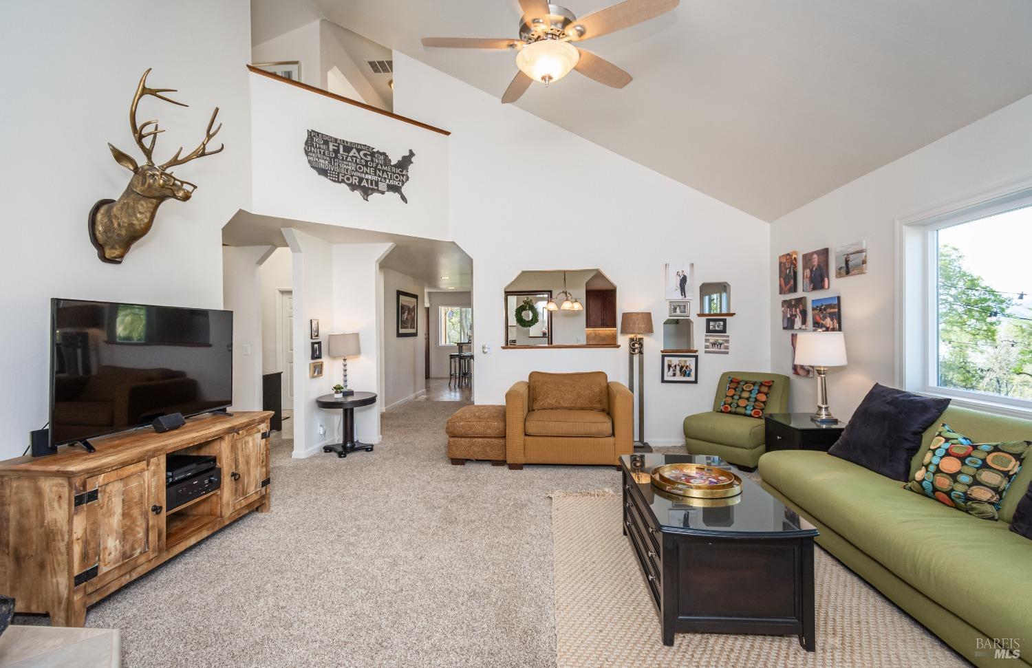 1081 Steele Canyon Rd