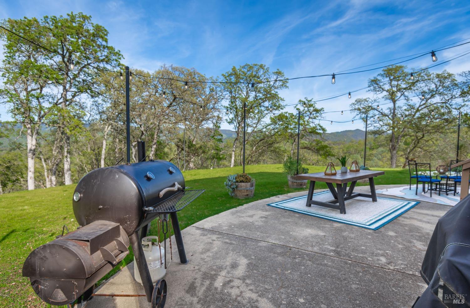 1081 Steele Canyon Rd