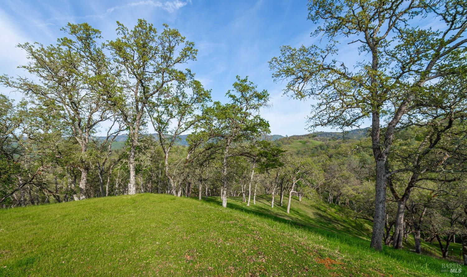 1081 Steele Canyon Rd
