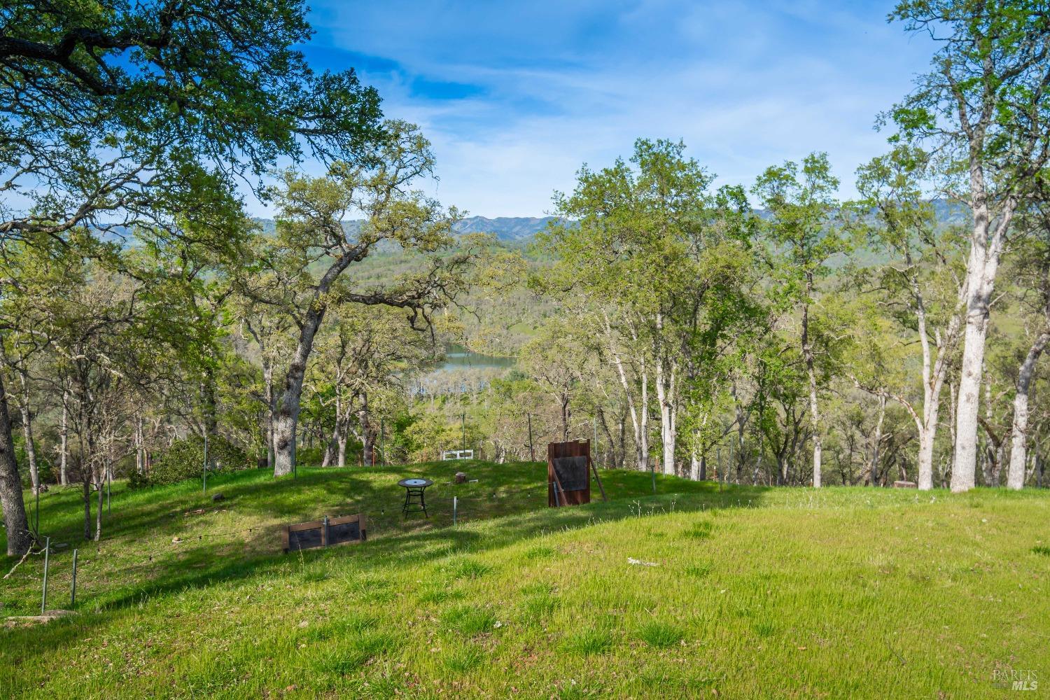 1081 Steele Canyon Rd