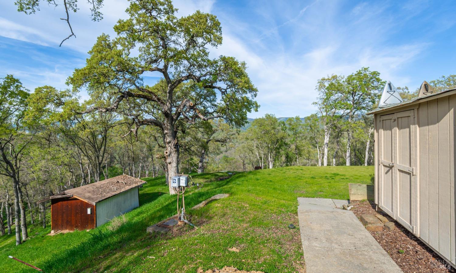 1081 Steele Canyon Rd