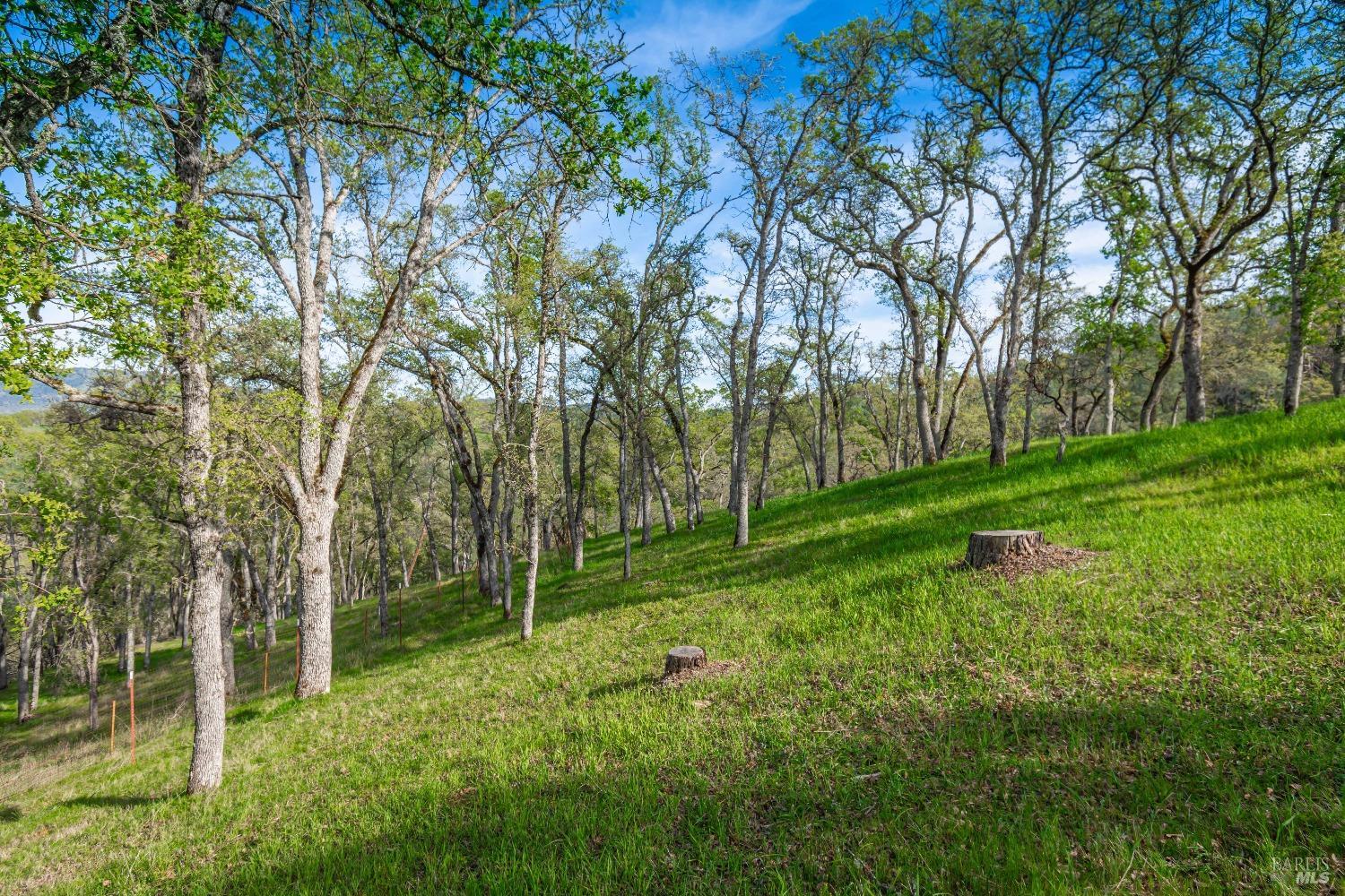 1081 Steele Canyon Rd