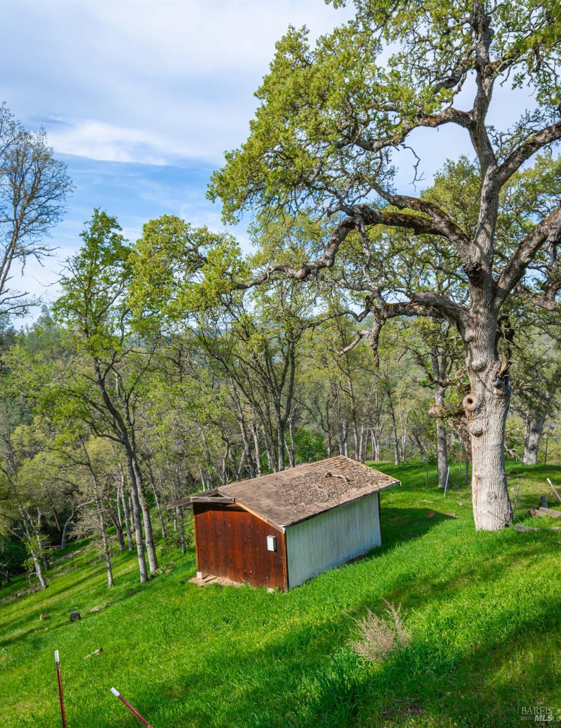 1081 Steele Canyon Rd