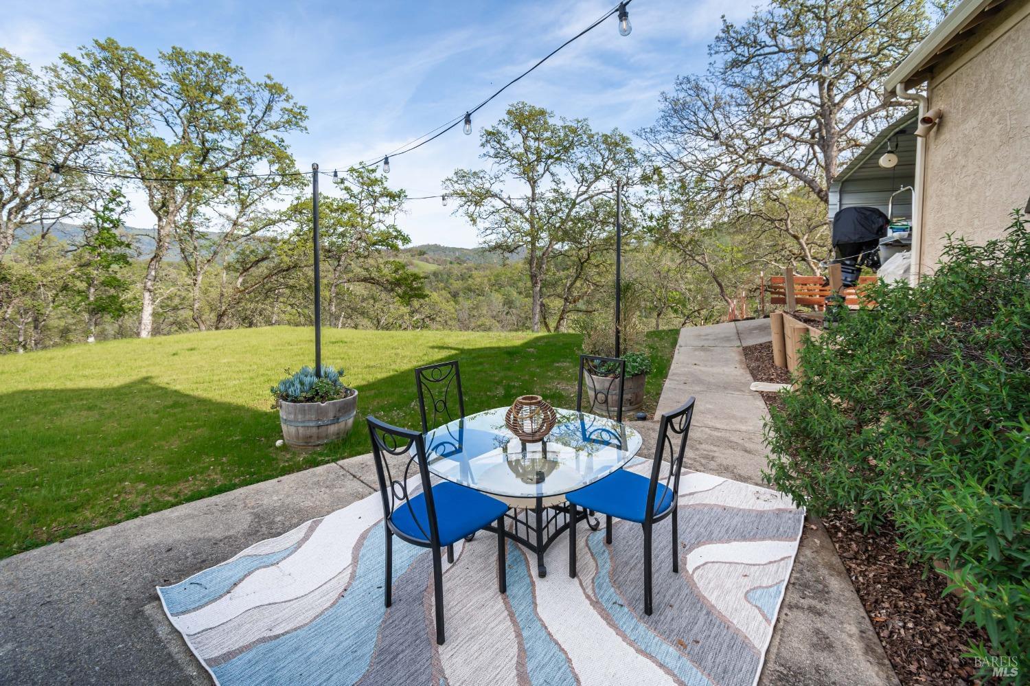 1081 Steele Canyon Rd