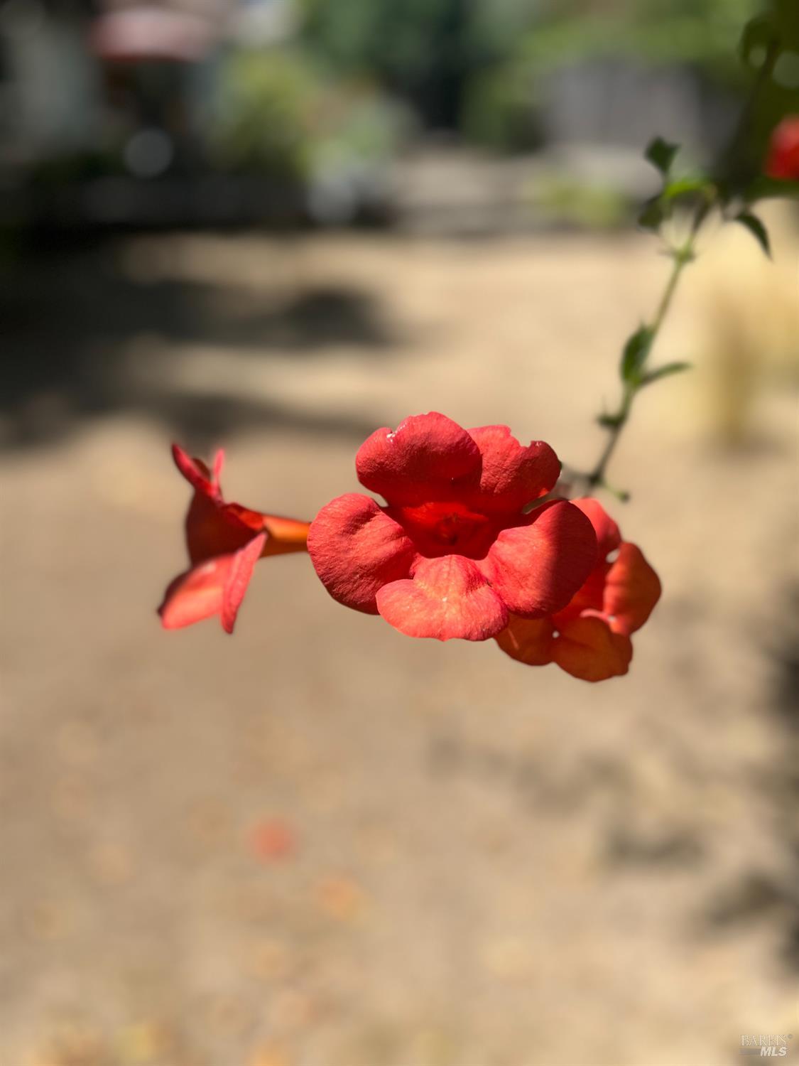 4022 Browns Valley Rd