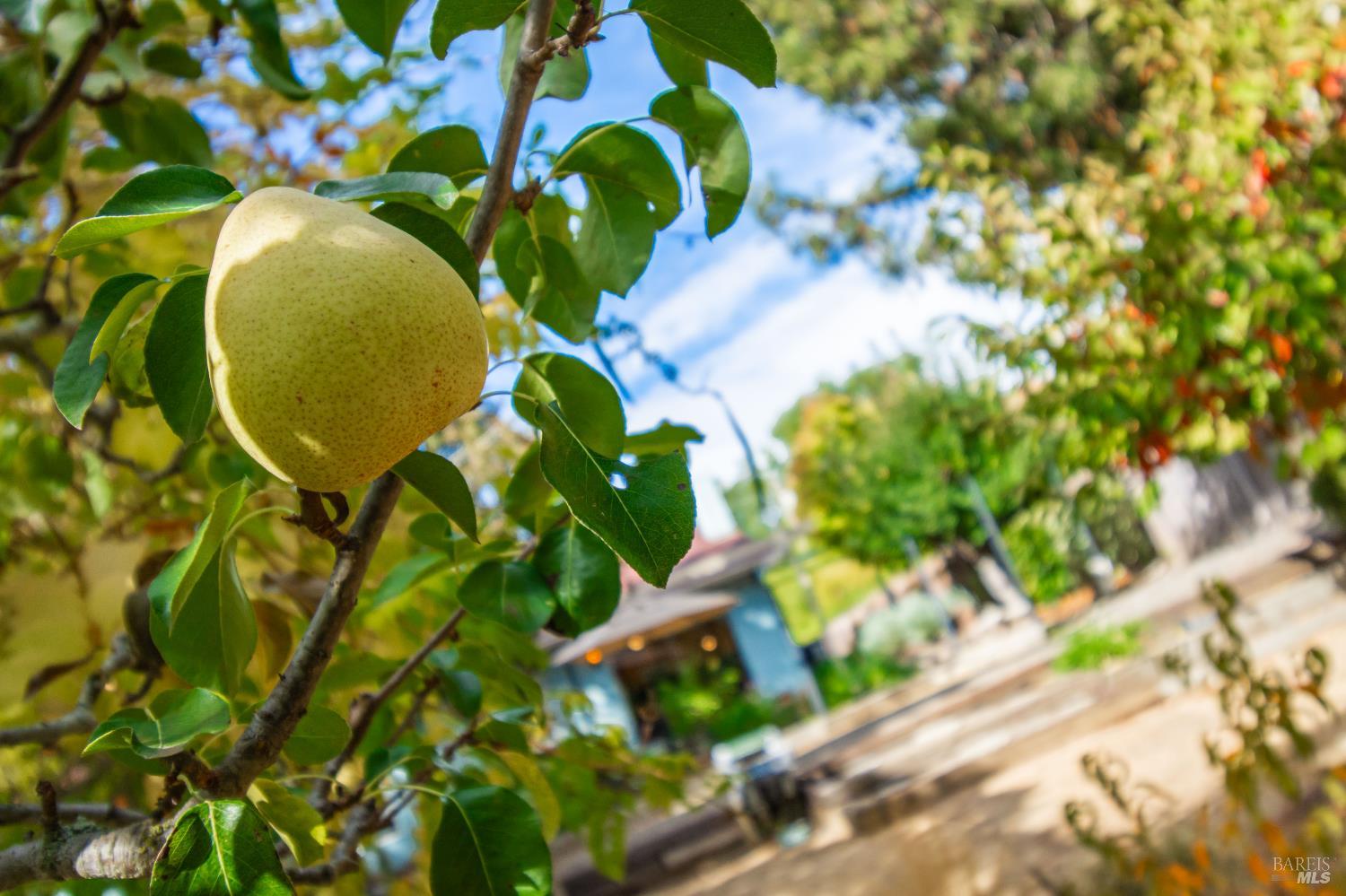 4022 Browns Valley Rd