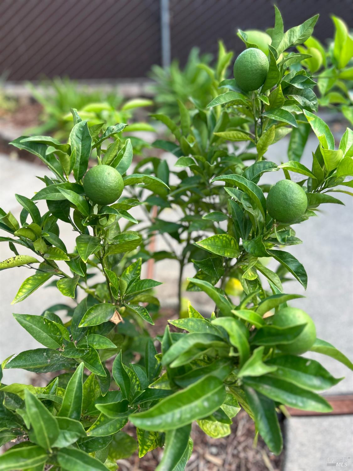 4022 Browns Valley Rd